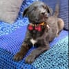 Luca- ist startklar du auch?
