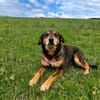 Best-Ager Fay sucht ihre Menschen