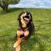 Best-Ager Fay sucht ihre Menschen