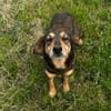 Best-Ager Fay sucht ihre Menschen