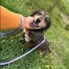 Best-Ager Fay sucht ihre Menschen