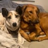 Fine sucht ihren sicheren Hafen