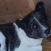Izzy sucht ihre Familie