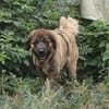 Kessidy, wartet in Rheinland Pfalz