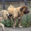 Kessidy, wartet in Rheinland Pfalz