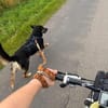 MAX in 50170 Kerpen sucht ein PS