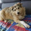 Freundliche Mia sucht Ihre Familie