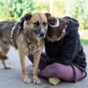 Halvar sucht eine ruhiges Zuhause