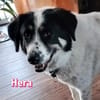 Hera - freundlich und menschenbezogen