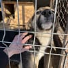 Phoebe - sensible Seele sucht Halt