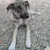 Jade - möchte endlich ankommen bei ihrer Familie