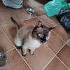 HERCO