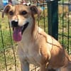 Molly  eine zweite Chance für ein neues Leben ❤
