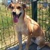 Molly  eine zweite Chance für ein neues Leben ❤