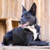 ELLY