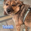 Vermittlungshilfe Tobbik; Unternesselbach