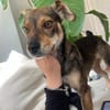 Nina - jung und verspielt - bereits in DE