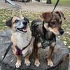 Nina - jung und verspielt - bereits in DE