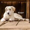 KASPAR
