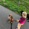 Mijou  kleine Traumhündin sucht ihre Menschen
