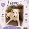 Lizzy  Chance für ihr Glück