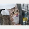 Gildo und Pink - eine Tierheimliebe