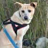 Arby 3/23 m auf der Suche