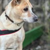 Arby 3/23 m auf der Suche