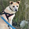 Arby 3/23 m auf der Suche