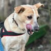 Arby 3/23 m auf der Suche