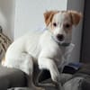 Wanda niedliches kleines Mädchen