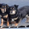 Unser Doppelpack: Lisa & Antonia