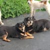 Unser Doppelpack: Lisa & Antonia