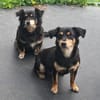 Unser Doppelpack: Lisa & Antonia