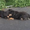 Unser Doppelpack: Lisa & Antonia