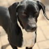 JACKY - sucht seinen Neuanfang