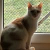 PRALINE