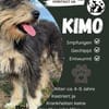 Kimo  sucht sein Zuhause
