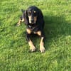 ENZO