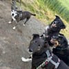 SCHMITTI ° liebevoll, ruhig & freundlich