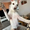 BEN MACHT SUPER FORTSCHRITTE