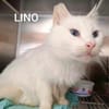Gemeinsames Zuhause für LOUIS & LINO