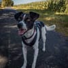 BINO -Kuschelbär sucht Herzenszuhause-