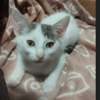 BENIE