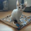 BENIE