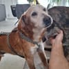 Opi Otto sucht seine Menschen