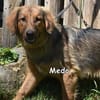 MEDO