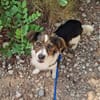 AYANA - kleine Zuckerpuppe