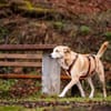 Jas - suche souveräne Partner