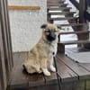Flora - zuckersüß und lieb